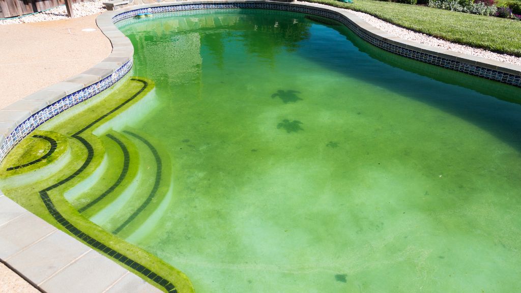 Problemas limpieza y filtrado agua piscina